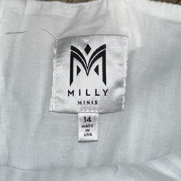 Milly Minis Girls Ombre Striped Fit & Flare Dress Size 14 - Picture 3 of 16